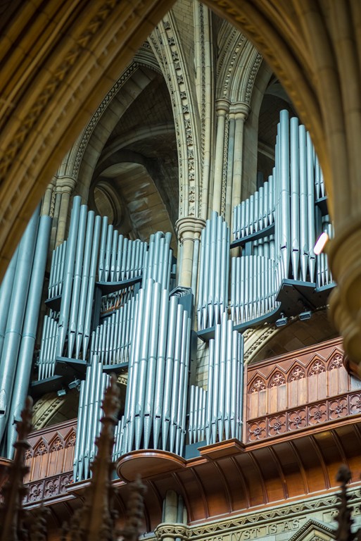 Looking up at the organ pipes of the Father Willis organ at Truro Cathedral