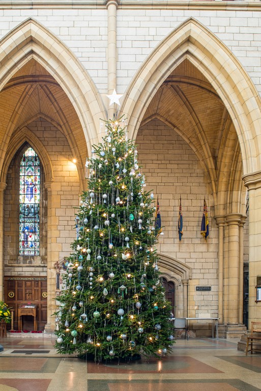 Christmas Tree in Truro Cathedral